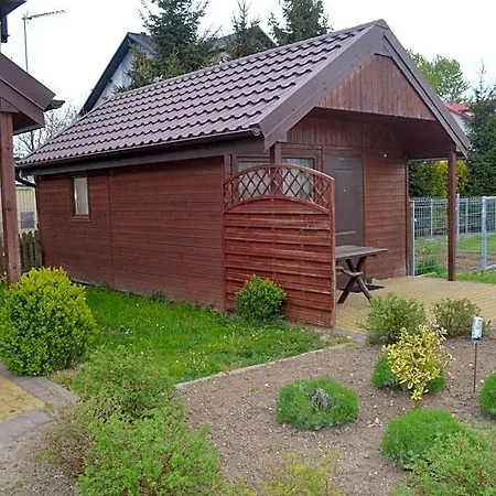 Sara Lodge *